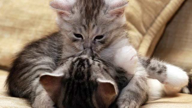 Новая музыка . Просто хит! Советую посмотреть! смотреть онлайн