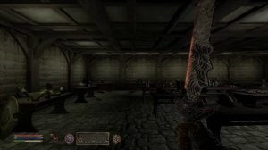 Как получить всю броню и оружие в TES 4 Oblivion