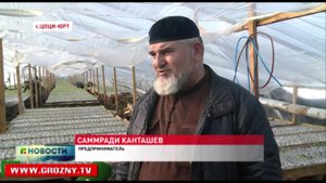 Китайские инвесторы строят теплицы в чеченском селении Цоци-Юрте