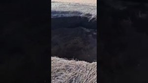 В хуторе Гуково Ростовской области образовался глубокий кратер