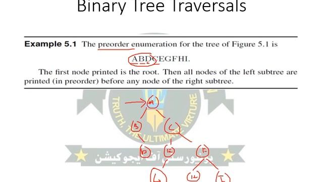 Lecture26 | COMP2113 | Binary Trees