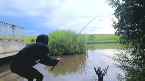 Девушка и РЫБАЛКА🍑\ Словили много рибы \\ Іванчани😍\\ отдых за городом \ накормили котов🐈