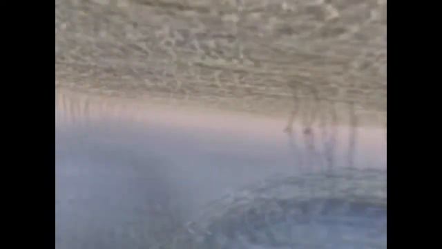 Я чудо Божье. Жизнь внутри клетки смотреть онлайн