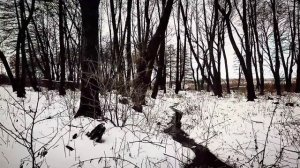 020 | Перевал Дятлова. Юдин оставил ответы на вопросы . Уход и судьба Юрия Юдина