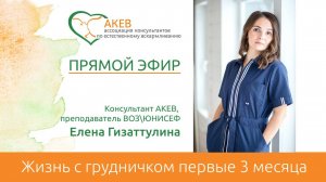 Жизнь с грудничком в первые 3 месяца после рождения. Елена Гизаттулина