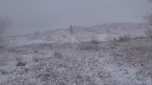 Зимняя охота на фазана. 14-16 декабря 2019г.