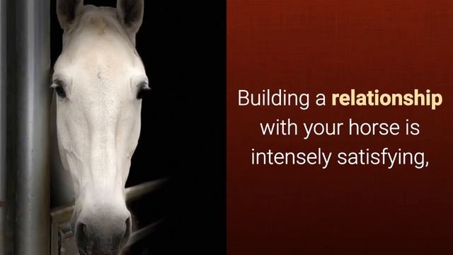 Health Benefits of Horse Riding - Physical, Mental, Emotional смотреть онлайн