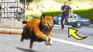 ИГРАЮ ЗА КОТА ЖИЗНЬ ЖИВОТНЫХ В ГТА 5 МОДЫ ОБЗОР МОДА В GTA 5 ИГРЫ ВИДЕО