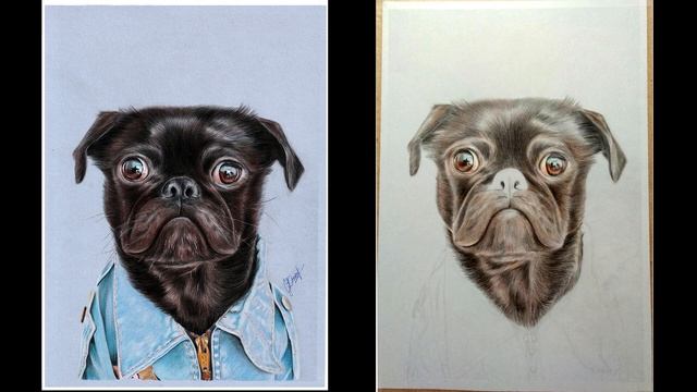 МОПС. Рисуем собаку поэтапно. Пошаговое рисование животных. // How to draw Black Pug step by step. смотреть онлайн