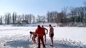 Смешное видео.Моржи.