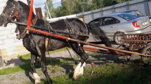 АЙ ДА ТУ ХОЗЯЙКА АВФ