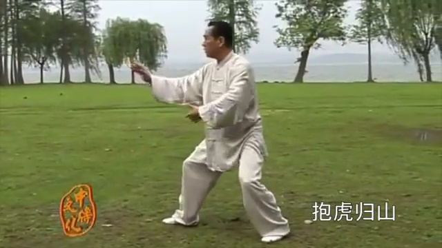 Yang Style TaiChi Quan :: 85 posture :: Grandmaster Zhao Youbin смотреть онлайн