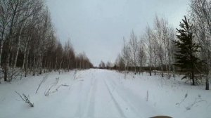 Мотобуксировщик Хаски! Миниснегоход по сугробам!