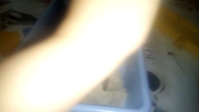 ресу писи? смотреть онлайн