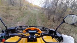 Прогулка на квадроцикле по осеннему лесу