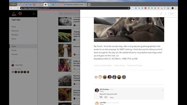 TWiP PRO Photo Critique 68 смотреть онлайн