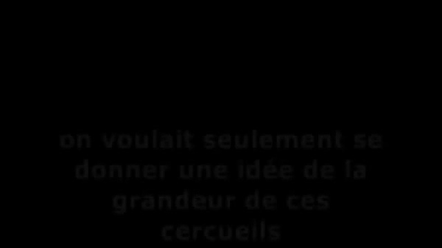 FEMA Camps - Les Cercueils
