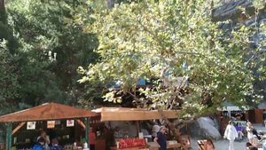 Каньон Гёйнюк. Kanyon Göynük. Место начала сплава вглубь каньона.