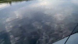 Ямаха 3л.с  Лодка Риф 325нд