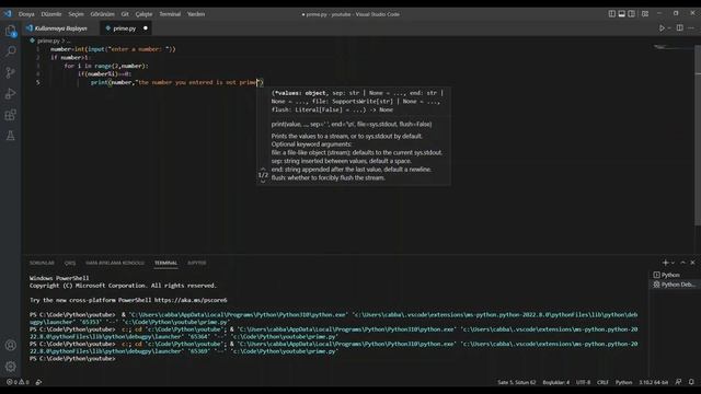 Finding Prime Numbers Using Python ! смотреть онлайн
