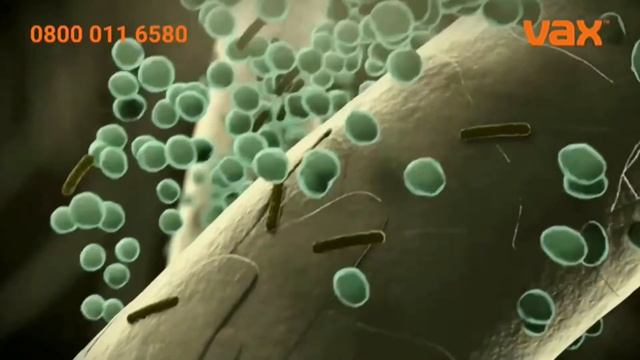 2019-2022: Vax Vacuum Cleaner [Bacteria] смотреть онлайн