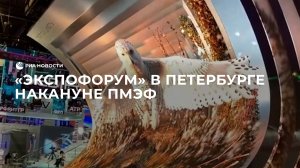"Экспофорум" в Петербурге накануне ПМЭФ