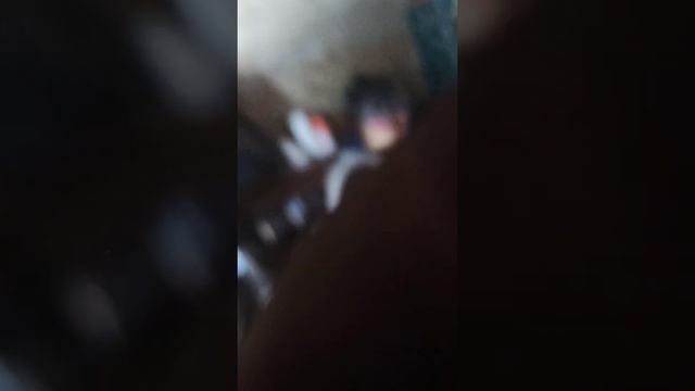 Chevrolet Captiva С100 v6 3.2l демонтаж стартера. смотреть онлайн