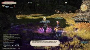 FFXIV HW : Lv57 A Hunter's True Nature - Walkthrough