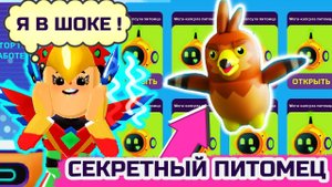 PK XD ОТКРЫЛА ВСЕХ ПТИЦ + СЕКРЕТНАЯ ПТИЦА Я В ШОКЕ !