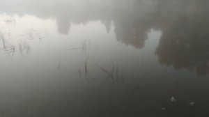 Поездка на рыбалку Свердловская область речка Пышма