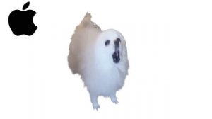 Gabe the dog but famous phone ringtones PART 2