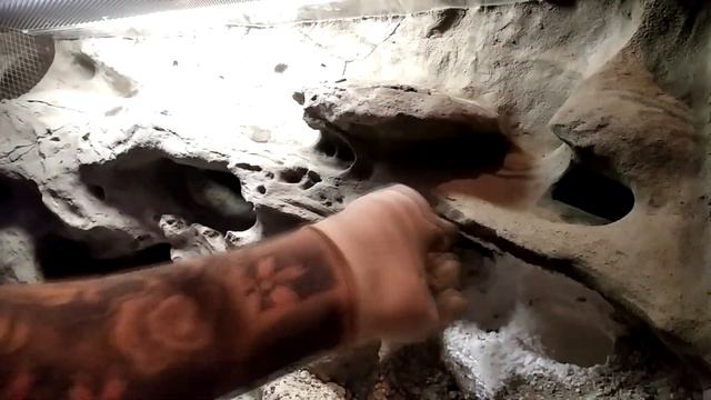 Cave Formation Terrarium Background for a Leopard Gecko! смотреть онлайн