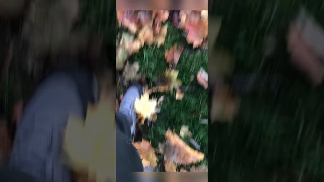 Я сам тебя выдумал  @Михаил Бублик    Любительское видео