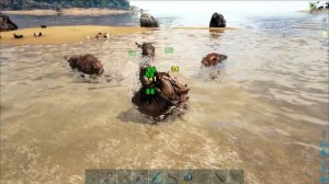 Дедикурус (Doedicurus) в АРК. Лучший обзор: приручение, разведение и способности колобка в ark.