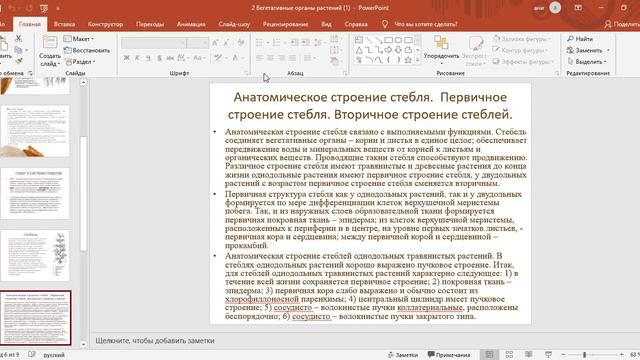 Вегетативные органы