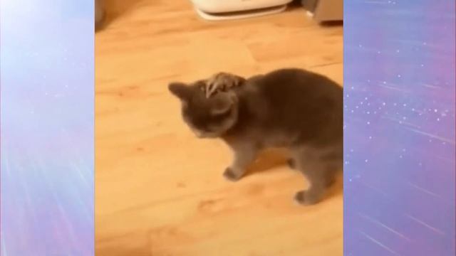 Арабский мужчина впервые увидел Гироскутер