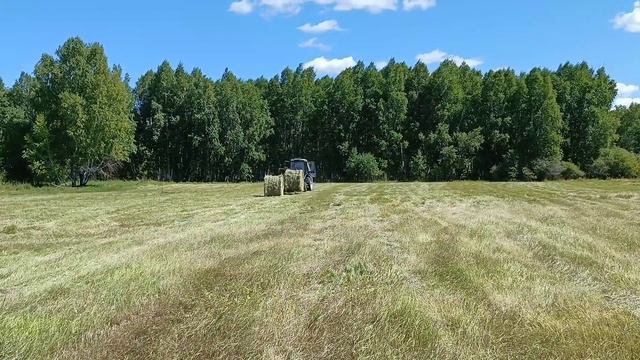 Сенокос окончен! Осталась вывозка смотреть онлайн