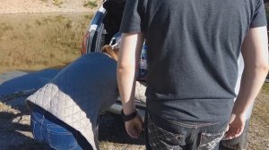 Рено Дастер Установка накладки заднего бампера на Duster