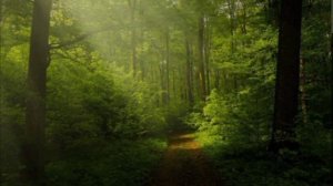 Нежная спокойная мелодия успокаивает и усыпляет мгновенно.