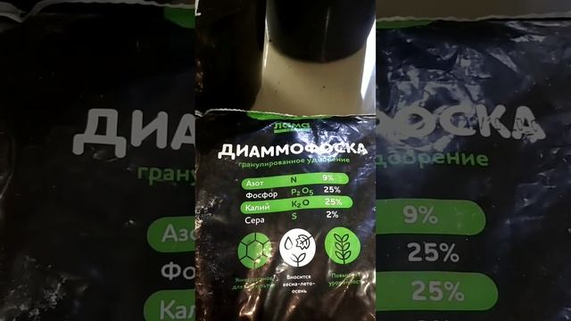 Зимнее черенкование крупнолистной гортензии. Результат через 2 недели. смотреть онлайн