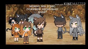 Коты-воители | Второй цикл |~в двух словах •Gacha Life•