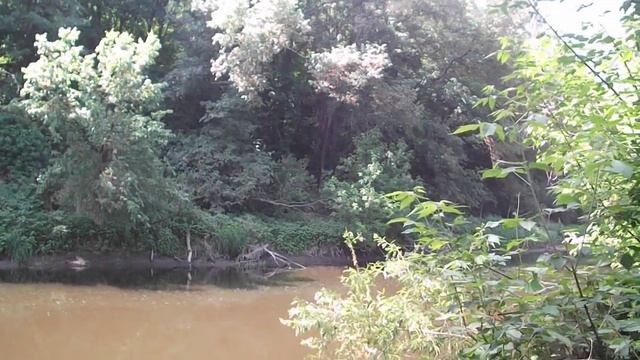 Весна, река, и птицы сошли с ума. смотреть онлайн