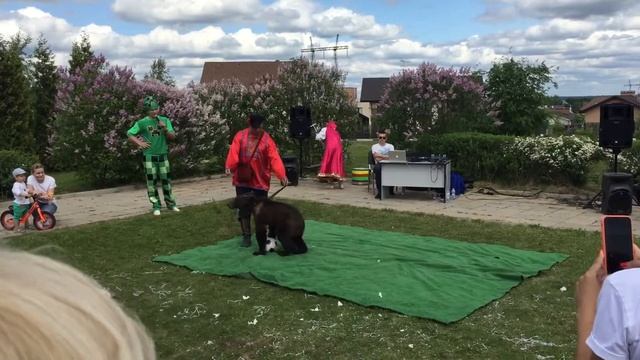 Опушкино 01.06.2019 смотреть онлайн