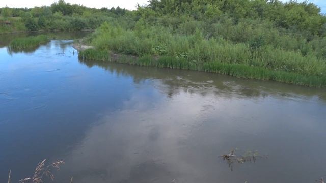 Когда есть час на рыбалку. За голавлем! смотреть онлайн