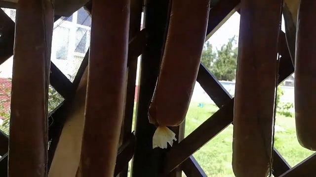 Колбасные оболочки