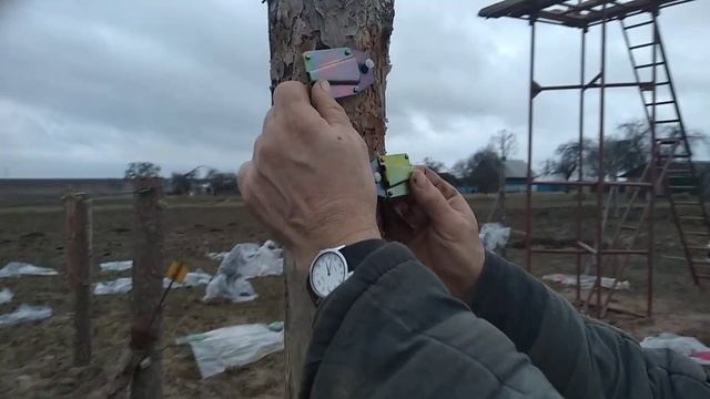 Натяжители для шпалерной проволоки