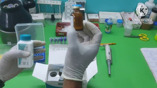 #SGPT Test#Liver function test#LFT test#AST test#ALT test смотреть онлайн