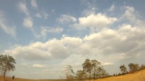 Охота на вяхирей с подхода