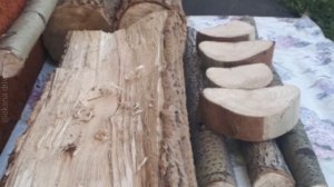 Древо жизни - украшение для сада из дерева и веток, своими руками. Автор? @oksnadrive