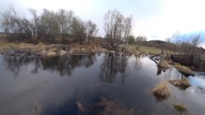 ВЕСЕННЯЯ РЫБАЛКА|СТАВИМ ЛОВУШКУ НА ЕЛЬЦА МОРДУ ВЕРШУ|ОТПУСТИЛ ПОЙМАННУЮ РЫБУ
